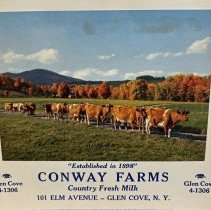 Conway Family Records and Conway Farms Cookbook